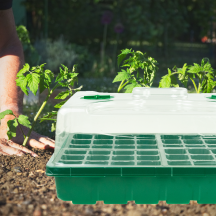 TG81375 Mini Greenhouse, Cold Frame for Germination, Seed Germinator, Seedlings, Ventilation, Sowing