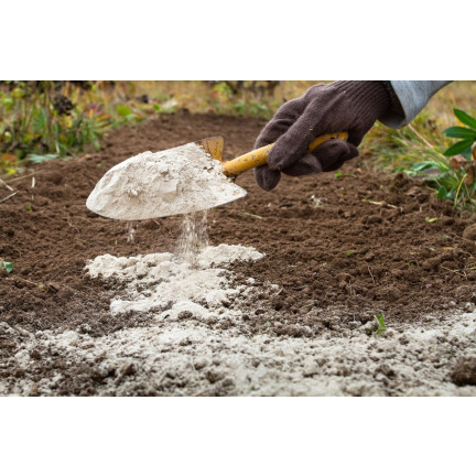 Dolomite, calcium-magnesium fertilizer, calcium and magnesium for lawns, Biovita, 5 kg
