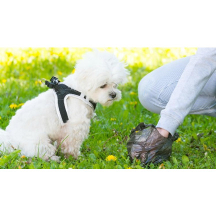 XA127 HUNDEKOTBEUTEL-ETUI + BEUTEL