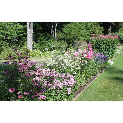 SUM26 SUMIN PLANT FERTILISER 1KG, Düngemittelgranulat, üppige Blüte