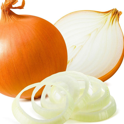W8674 WINTERZWIEBEL WINTERZWIEBELSAATGUT AUGUSTA 2G