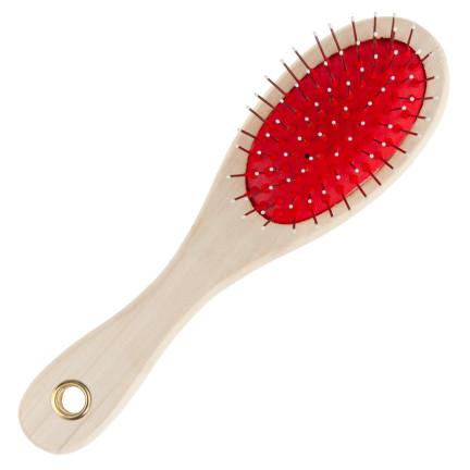 TM-00428 DOG CAT DUAL-SIDED BRUSH pro rozčesávání srsti