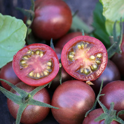 W9558 ČERNÁ CHERRY RAJČATA VYSOCE MLETÁ 0,3 G SEMEN RAJČAT