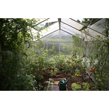 Organic fertilizer for tomatoes, BIO granules, natural, Biovita 3 kg