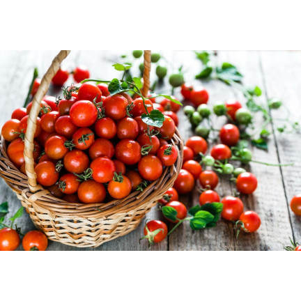 W5222 KIRSCHTOMATEN BAJAJA 0.3G TOMATENSAMEN KIRSCHTOMATEN FÜR DEN BALKON