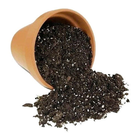 BIO26 Bigos Soil 8L – Light Potting Mix for Indoor Green Houseplants