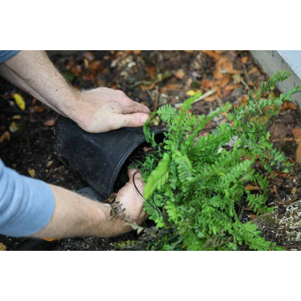 Zemina pro kapradiny, rostlinný substrát obohacený hnojivem, optimální složení, dobré proudění vzduchu, Biovita 5l