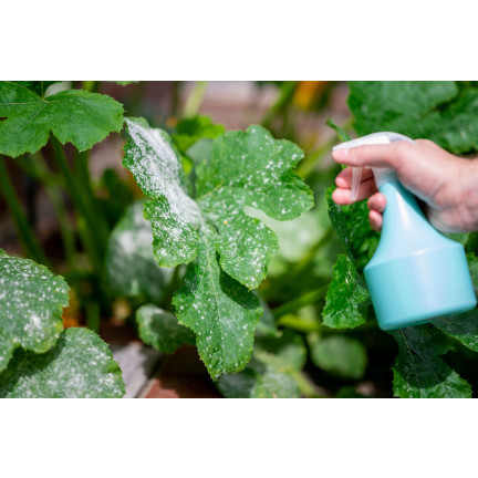 SUM33 LIMOCIDE 30 ML 3 v 1 pesticid insekticidní fungicidní přípravek odpuzující škůdce