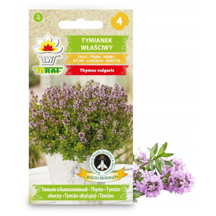 Z3035 TYMIÁN SPRÁVNÁ SEMENA BYLIN KOŘENÍ AROMATICKÉ 0,3G
