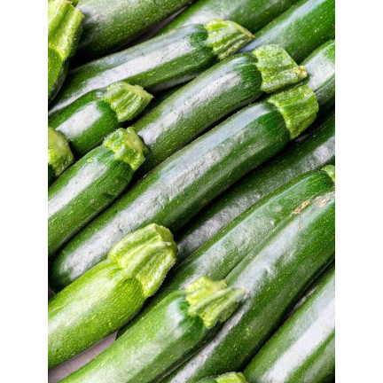 W1031 ZUCCHINISAMEN ZUCCHINI KÜRBIS NEFERTITI GEMÜSE GRÜN LECKER 3G