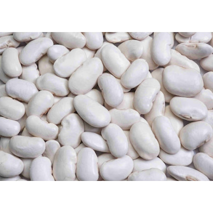 W2016 TYCZNA FAZOLE KRÁSNÁ JAS SEMENA PRO SUCHOU ZELENINU FAZOLE VELKÁ SEMENA 25G