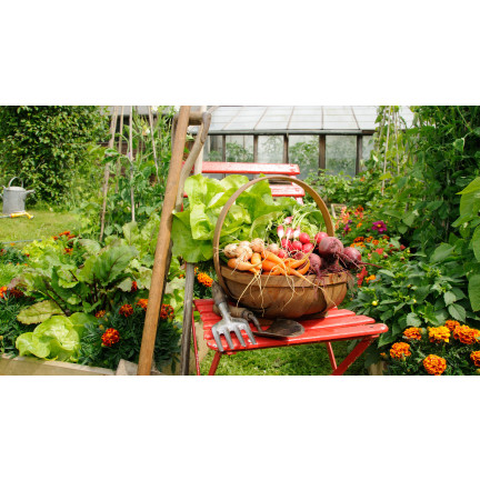 All-purpose organic fertilizer, organic, natural, granules, Biovita 3 kg