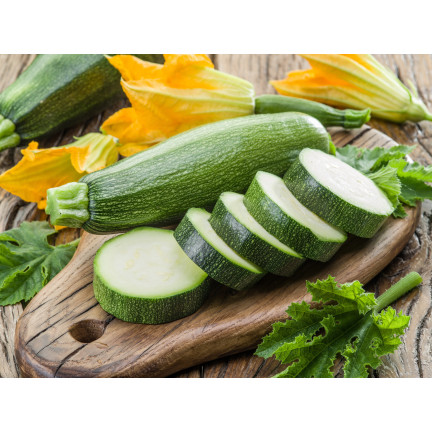 W1031 ZUCCHINISAMEN ZUCCHINI KÜRBIS NEFERTITI GEMÜSE GRÜN LECKER 3G