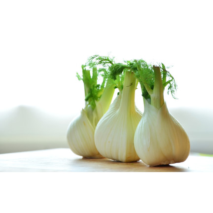 Z3013 FENCHELKRAUTSAMEN FENCHELGEWÜRZ VERDAUUNGSSYSTEM 1G