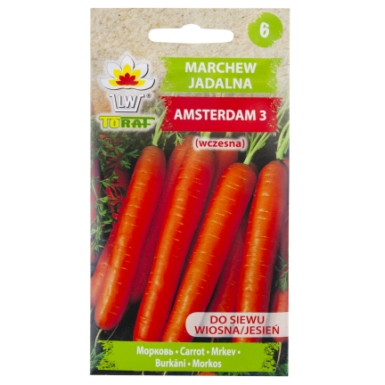 W0364 KAROTTE AMSTERDAM 3 KAROTTENSAMEN 5G AMSTERDAM FRÜH