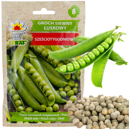 W0746 SCHALERBSE SECHS WOCHEN ALTES SAATGUT 50G SCHNELLE ERNTE