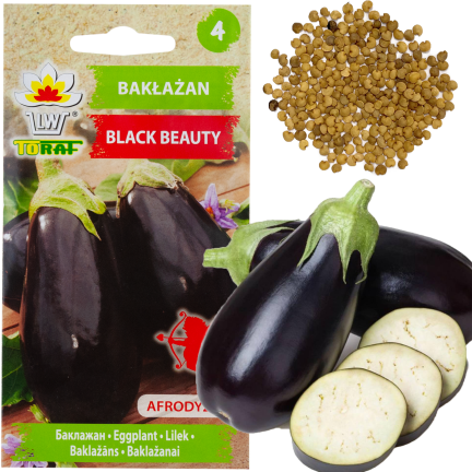W1003 SEMENA LILKU BLACK BEAUTY PURPLE PEAR OF LOVE 1G