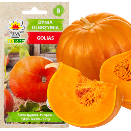 W1038 DÝNĚ GOLIAS CUCURBITA MAXIMA SEMENA PLODY DÝNĚ DO 30KG 4G