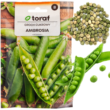 W1062 ZUCKERERBSEN AMBROSIA FRÜHE ERBSEN SAMEN PRODUKTIV 50G