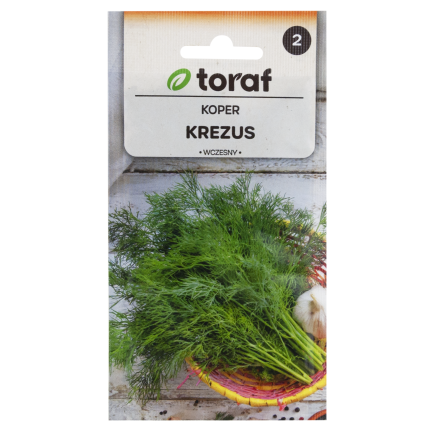 W1093 DILL DILLSAMEN FRÜH ZUM BEIZEN 5G