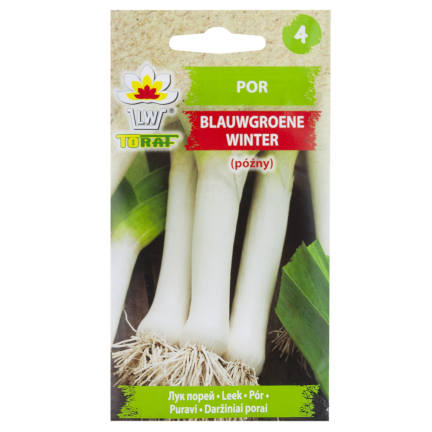 W1177 LAUCH SAMEN BLAUWGROENE WINTERTYP ALASKA SPÄTFROSTHART 1G