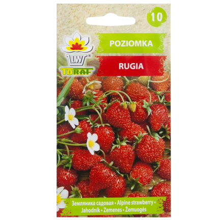 W1181 ERDBEERSAMEN RUGIA FRUCHTBAR SAFTIGE FRUCHT SÜSSESTE 0.2G