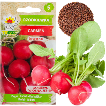 W1194 RADIESCHENSAMEN CARMEN ROT FRÜH MILD NICHT GESCHÄLT 10G