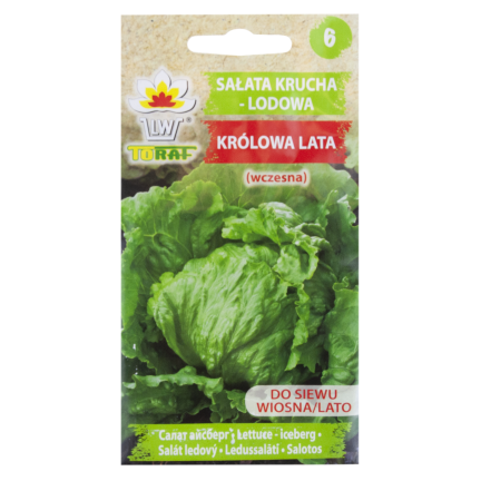 W1212 KNACKIGER EISBERGSALAT KÖNIGIN DES SOMMERS FRÜHGEMÜSESALAT SAMEN 1G