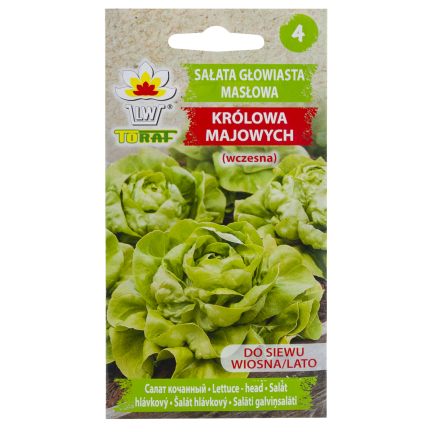 W1217 KOPFSALAT KÖNIGIN DES MAI FRÜHE FESTE SALATSAMEN 2G