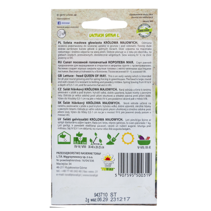 W1217 KOPFSALAT KÖNIGIN DES MAI FRÜHE FESTE SALATSAMEN 2G