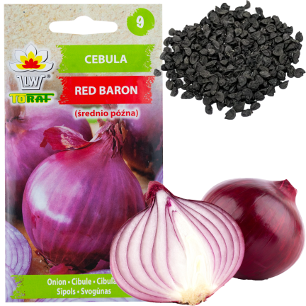 W1258 RED BARON RED CILIZON SEED für Salate 3G