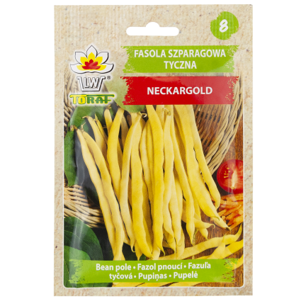 W3587 ZELENÉ FAZOLKY TIC 10G SEMÍNKA FAZOLÍ NECKARGOLD ŽLUTÁ
