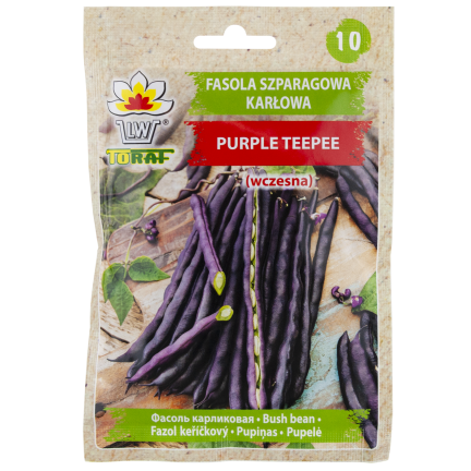 W6991 SEMÍNKA FAZOLÍ ZAKRSLÝCH FIALOVÝCH TEEPEE 30G