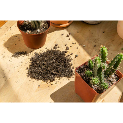 BIO10 ZEMINA PRO KAKTUSY A SUKULENTY ALOE VERA PROPUSTNÁ 5L