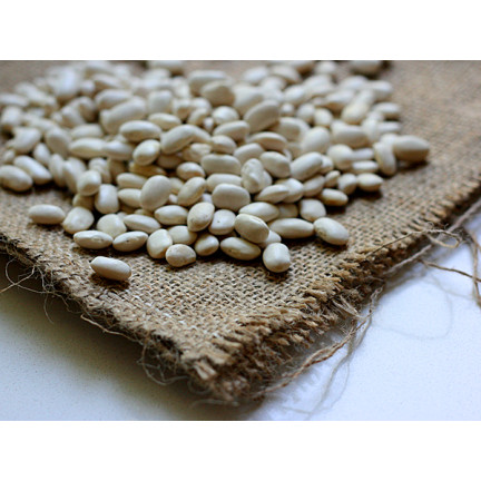 W2016 TYCZNA FAZOLE KRÁSNÁ JAS SEMENA PRO SUCHOU ZELENINU FAZOLE VELKÁ SEMENA 25G