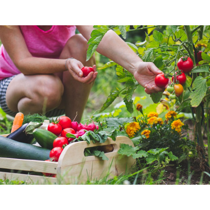 Organic fertilizer for vegetables and tomatoes, natural, organic, granules, Biovita 3 kg