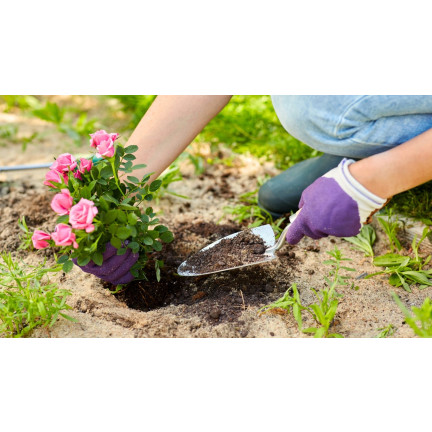 Zemina pro růže, médium pro přesazování květin, specializované, s perlitem, Biovita 20l