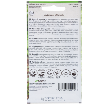 Z3017 LIEBSTÖCKEL GARTEN KRÄUTER SAMEN MEHRJÄHRIGE GEWÜRZ AROMATISCH MAGI 1G