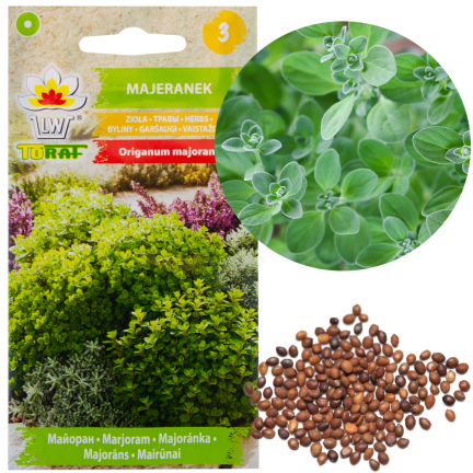 Z3018 SEMÍNKA MAJORÁNKY AROMATICKÁ PŘÍLOHA 1G