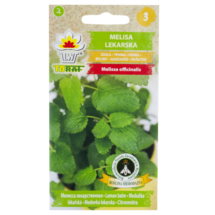 Z3019 MEDUŇKA VÝSADBA SEMEN LÉČIVÁ BYLINA MEDOVÁ ROSTLINA 0.5G