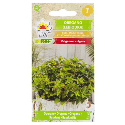 Z3026 OREGANO OREGANO BYLINNÁ SEMENA AROMATICKÁ BYLINA DO KAŽDÉ KUCHYNĚ 0,5G