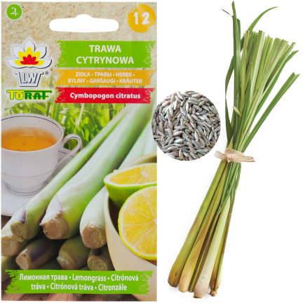 Z3034 SEMÍNKA BYLINY CITRONOVÉ TRÁVY ZDRAVOTNÍ VLASTNOSTI 0,1G