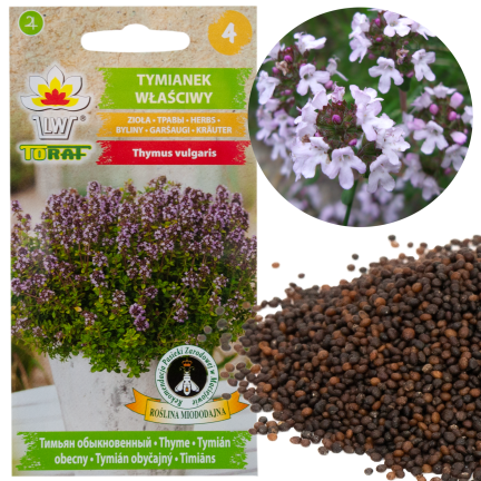 Z3035 TYMIÁN SPRÁVNÁ SEMENA BYLIN KOŘENÍ AROMATICKÉ 0,3G