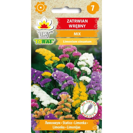 R2528 ROCKSPRING MIX OF UNIQUE COLORS BLUMENSAMEN FÜR TROCKENSTRÄUSSE