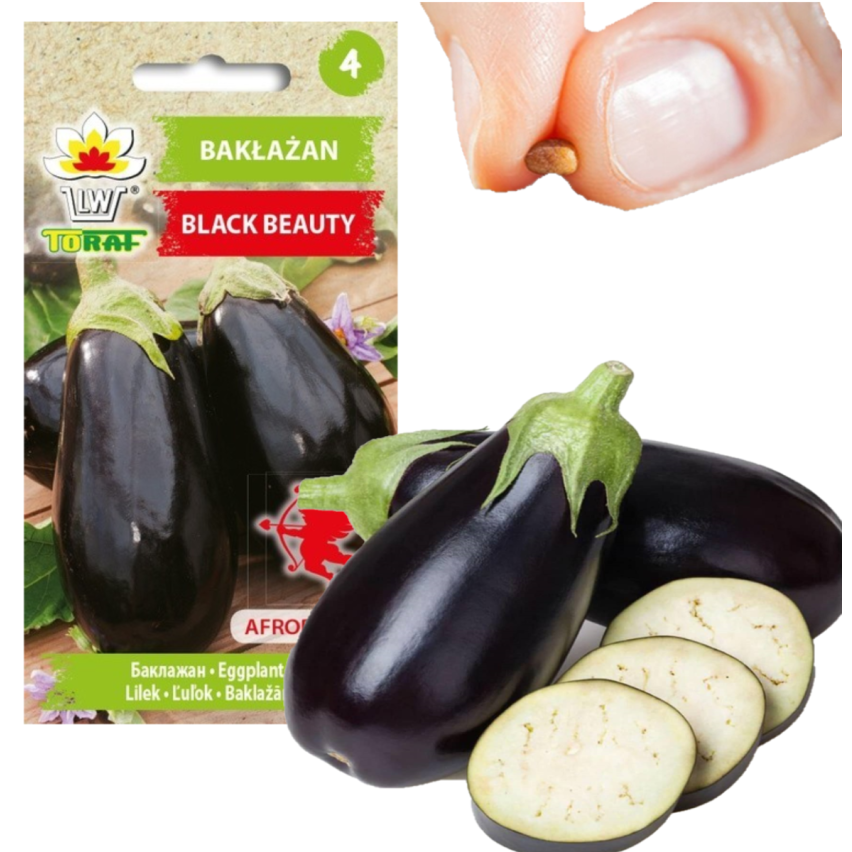 W1003 SEMENA LILKU BLACK BEAUTY PURPLE PEAR OF LOVE 1G