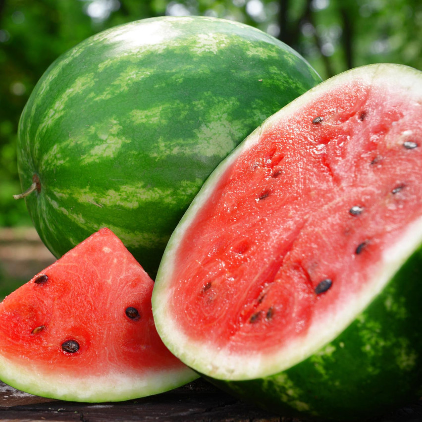 W9893 WATERMELON RED CAVON CRIMSON SWEET WATERMELON SEEDS 1G SWEET JUICY