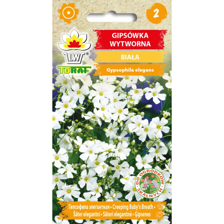 R4584 GYPSOPHILA BÍLÁ 1G SEMENA GYPSOPHILA KVĚTINY PRO ZÁHONY SKALKY