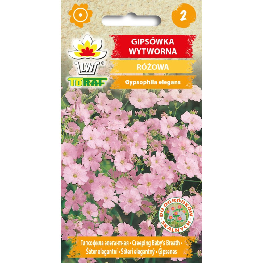 R4591 RAFINOVANÁ RŮŽOVÁ GYPSOPHILA 1G KVĚT SEMEN ROČNÍ