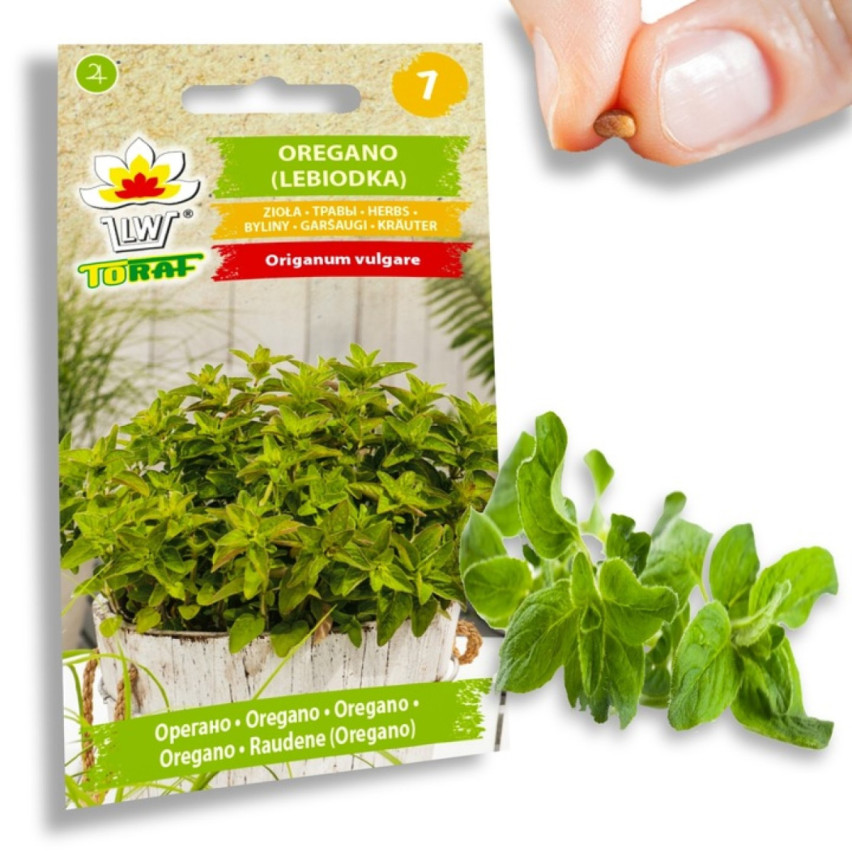 Z3026 OREGANO OREGANO BYLINNÁ SEMENA AROMATICKÁ BYLINA DO KAŽDÉ KUCHYNĚ 0,5G