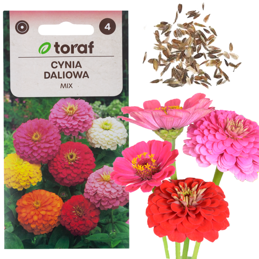 R0487 DALY BLEND 1 GRAM Schnittblumensamen für den Garten